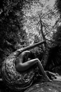 Roberto Mannini - Wild