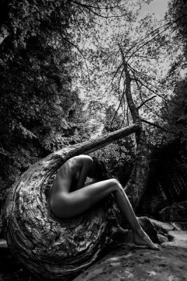 Roberto Mannini - Wild